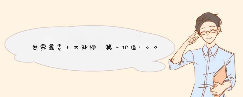 世界最贵十大动物 第一价值1600万美元叫绿猴却不是猴